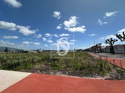 Terreno Rstico T0 - Rosto de Co (Livramento), Ponta Delgada, Ilha de S.Miguel - Miniatura: 4/7