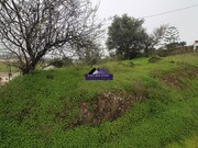 Terreno Rstico - Castro Marim, Castro Marim, Faro (Algarve) - Miniatura: 2/8