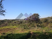 Terreno R�stico - Castro Marim, Castro Marim, Faro (Algarve) - Miniatura: 5/9