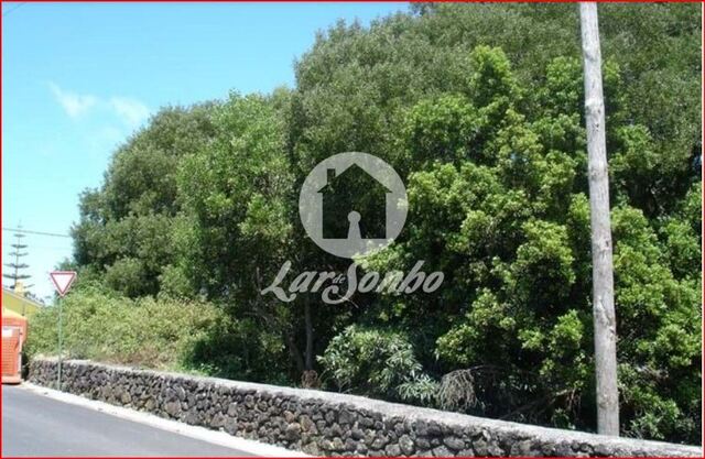 Terreno R�stico - Fonte do Bastardo, Praia da Vit�ria, Ilha Terceira - Imagem grande