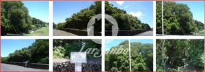 Terreno R�stico - Fonte do Bastardo, Praia da Vit�ria, Ilha Terceira - Miniatura: 1/5