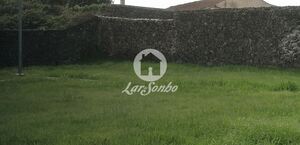 Terreno Rústico - Rosto de Cão (Livramento), Ponta Delgada, Ilha de S.Miguel - Miniatura: 5/6