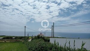 Terreno Rústico - Ginetes, Ponta Delgada, Ilha de S.Miguel - Miniatura: 6/28
