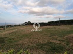 Terreno R�stico - Capelas, Ponta Delgada, Ilha de S.Miguel - Miniatura: 4/12