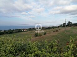Terreno R�stico - Capelas, Ponta Delgada, Ilha de S.Miguel - Miniatura: 6/12