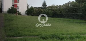 Terreno R�stico - Rosto de C�o (Livramento), Ponta Delgada, Ilha de S.Miguel - Miniatura: 6/6