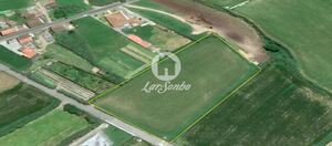 Terreno R�stico - Ginetes, Ponta Delgada, Ilha de S.Miguel - Miniatura: 2/28