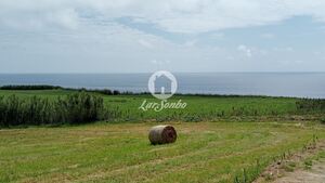 Terreno R�stico - Ginetes, Ponta Delgada, Ilha de S.Miguel - Miniatura: 9/28