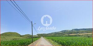 Terreno R�stico - Ginetes, Ponta Delgada, Ilha de S.Miguel - Miniatura: 16/28