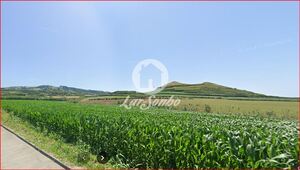 Terreno R�stico - Ginetes, Ponta Delgada, Ilha de S.Miguel - Miniatura: 17/28