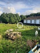 Terreno R�stico - Fontinhas, Praia da Vit�ria, Ilha Terceira - Miniatura: 3/20