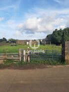 Terreno R�stico - Fontinhas, Praia da Vit�ria, Ilha Terceira - Miniatura: 5/20