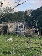 Terreno R�stico - Fontinhas, Praia da Vit�ria, Ilha Terceira - Miniatura: 11/20