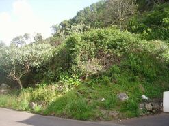 Terreno R�stico - Fontinhas, Praia da Vit�ria, Ilha Terceira - Miniatura: 14/20