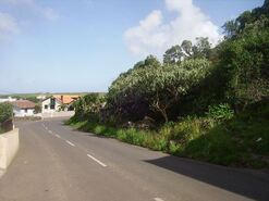 Terreno R�stico - Fontinhas, Praia da Vit�ria, Ilha Terceira - Miniatura: 18/20