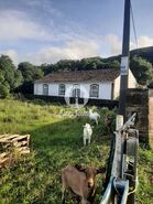Terreno R�stico - Fontinhas, Praia da Vit�ria, Ilha Terceira - Miniatura: 6/20
