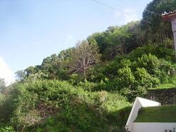Terreno R�stico - Fontinhas, Praia da Vit�ria, Ilha Terceira - Miniatura: 19/20