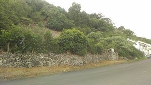 Terreno R�stico - Fontinhas, Praia da Vit�ria, Ilha Terceira - Miniatura: 20/20