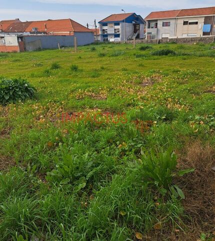 Terreno Rústico - Perafita, Matosinhos, Porto - Imagem grande