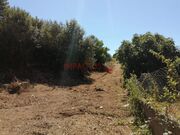 Terreno R�stico - CORONADO, Trofa, Porto - Miniatura: 1/9