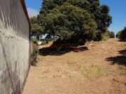 Terreno R�stico - CORONADO, Trofa, Porto - Miniatura: 7/9
