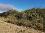 Terreno R�stico - CORONADO, Trofa, Porto - Miniatura: 8/9