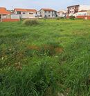 Terreno Rstico - Perafita, Matosinhos, Porto - Miniatura: 2/9