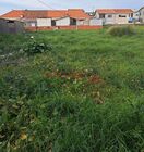 Terreno Rstico - Perafita, Matosinhos, Porto - Miniatura: 4/9