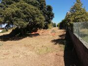 Terreno R�stico - CORONADO, Trofa, Porto - Miniatura: 9/9