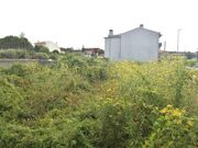 Terreno R�stico - CORONADO, Trofa, Porto