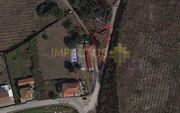 Terreno R�stico - Monte C�rdova, Santo Tirso, Porto