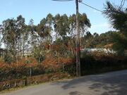 Terreno R�stico - Perafita, Matosinhos, Porto - Miniatura: 1/9