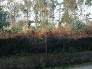 Terreno R�stico - Perafita, Matosinhos, Porto - Miniatura: 2/9