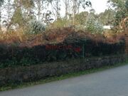 Terreno R�stico - Perafita, Matosinhos, Porto - Miniatura: 3/9