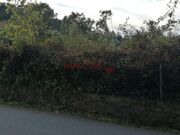 Terreno R�stico - Perafita, Matosinhos, Porto - Miniatura: 4/9