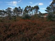 Terreno R�stico - Perafita, Matosinhos, Porto - Miniatura: 6/9