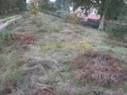 Terreno R�stico - Monte C�rdova, Santo Tirso, Porto - Miniatura: 3/6