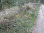 Terreno R�stico - Monte C�rdova, Santo Tirso, Porto - Miniatura: 4/6