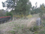 Terreno R�stico - Monte C�rdova, Santo Tirso, Porto - Miniatura: 5/6