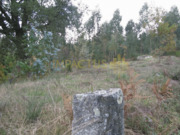 Terreno R�stico - Monte C�rdova, Santo Tirso, Porto - Miniatura: 6/6