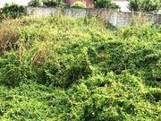 Terreno R�stico - CORONADO, Trofa, Porto - Miniatura: 2/9
