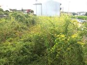 Terreno R�stico - CORONADO, Trofa, Porto - Miniatura: 9/9