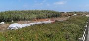 Terreno R�stico - A Ver-o-Mar, P�voa de Varzim, Porto - Miniatura: 8/9