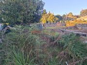 Terreno Rstico - Moreira da Maia, Maia, Porto - Miniatura: 2/7