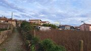 Terreno R�stico - CORONADO, Trofa, Porto - Miniatura: 6/9