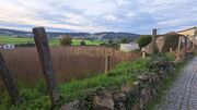 Terreno R�stico - CORONADO, Trofa, Porto - Miniatura: 9/9