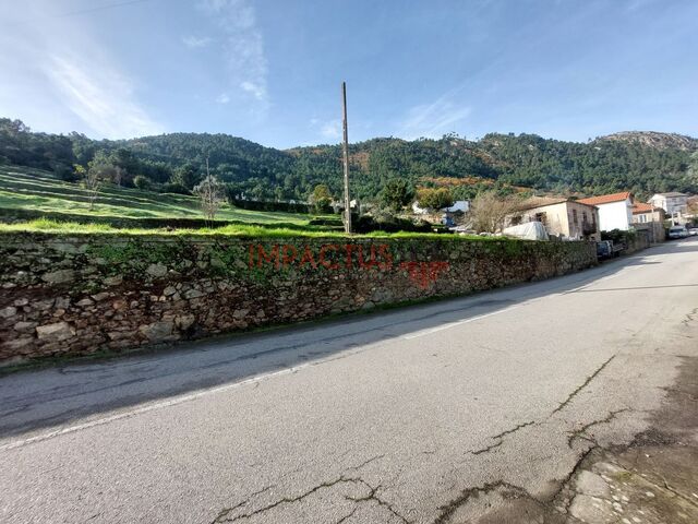 Terreno R�stico - Paradela, Tabua�o, Viseu - Imagem grande