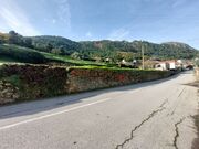 Terreno R�stico - Paradela, Tabua�o, Viseu - Miniatura: 2/9