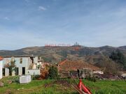 Terreno R�stico - Paradela, Tabua�o, Viseu - Miniatura: 4/9