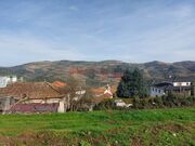 Terreno R�stico - Paradela, Tabua�o, Viseu - Miniatura: 5/9
